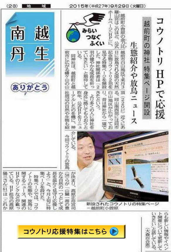 FFFukusinKiji583A