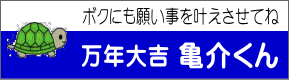 亀介くん